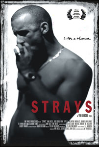 Strays - dvd ex noleggio distribuito da 