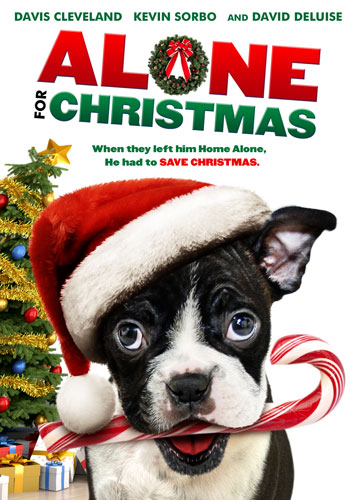 Alone For Christmas - dvd ex noleggio distribuito da Cecchi Gori Home Video
