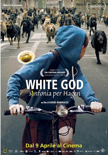 White God - Sinfonia Per Hagen - dvd ex noleggio distribuito da Cecchi Gori Home Video