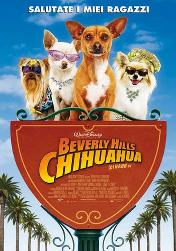 Beverly Hill's Chihuahua (TOP) - dvd ex noleggio distribuito da Buena Vista Home Entertainment