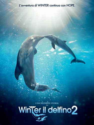 L' Incredibile Storia Di Winter Il Delfino 2 - dvd ex noleggio distribuito da Warner Home Video