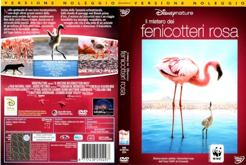 Il mistero dei fenicotteri rosa - dvd ex noleggio distribuito da Buena Vista Home Entertainment