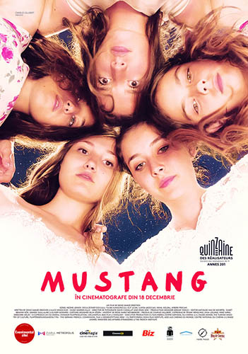 Mustang - dvd ex noleggio distribuito da Cecchi Gori Home Video