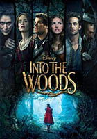 Into The Woods - dvd ex noleggio