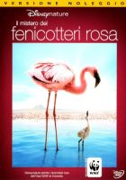 Il mistero dei fenicotteri rosa - dvd ex noleggio