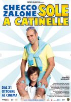 Sole a catinelle - dvd ex noleggio