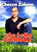 Che bella giornata - dvd ex noleggio