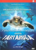 L'incredibile viaggio della tartaruga - dvd ex noleggio