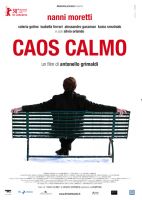 Caos calmo - dvd ex noleggio