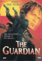 The guardian - dvd ex noleggio