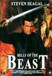 Belly of the beast - dvd ex noleggio