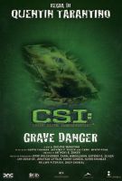 CSI grave danger - dvd ex noleggio