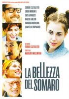 La bellezza del somaro - dvd ex noleggio