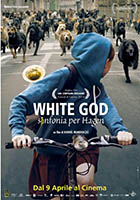 White God - Sinfonia Per Hagen - dvd ex noleggio